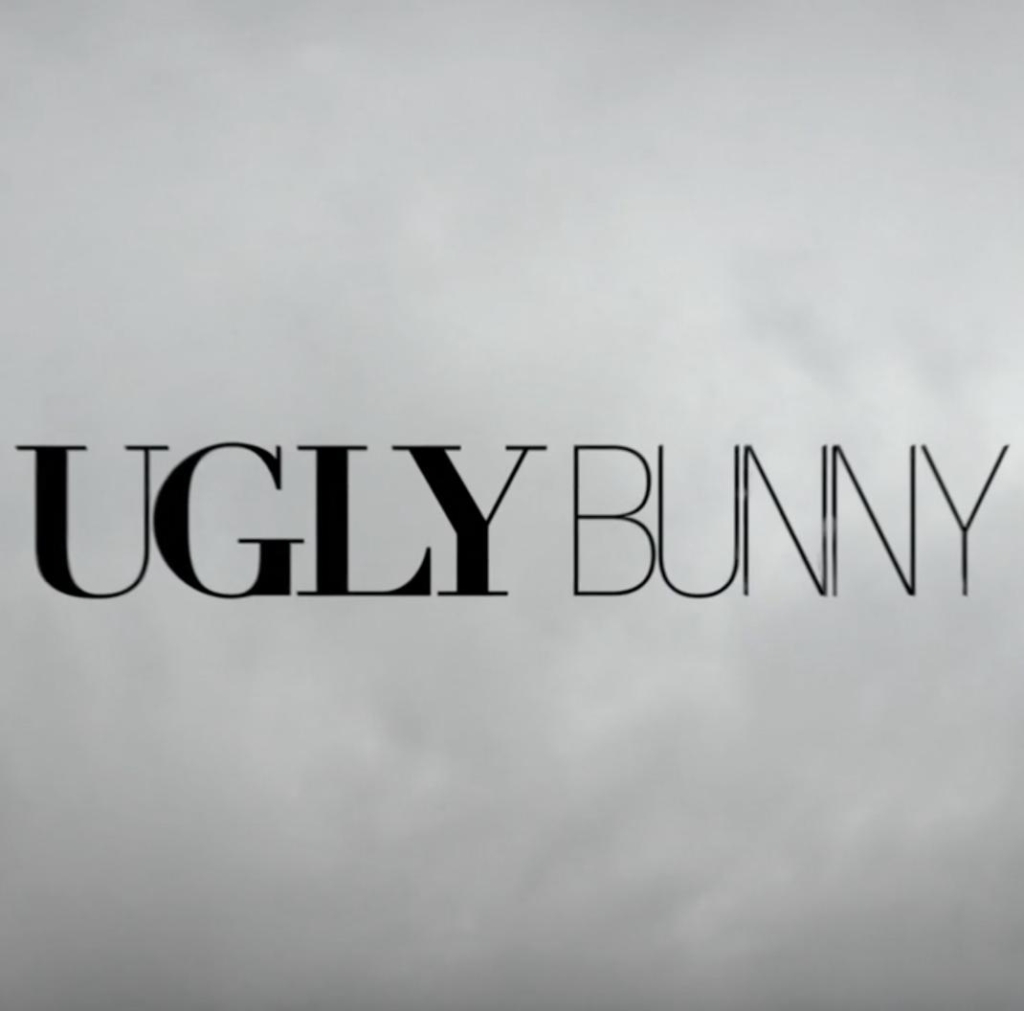 Ugly Bunny